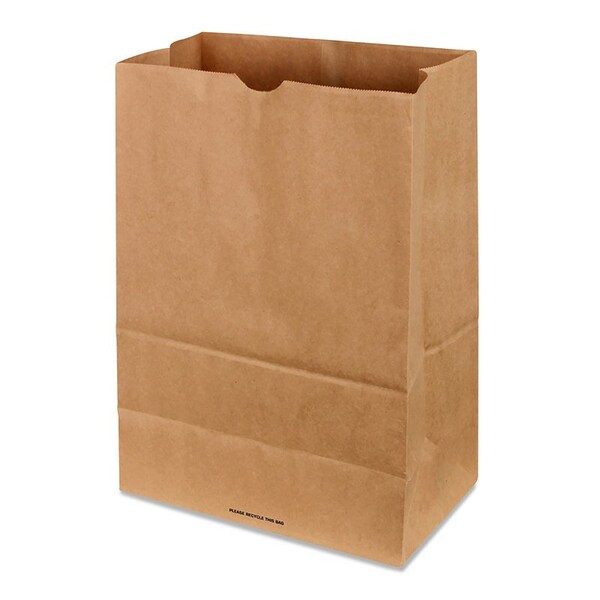 North American Co Recycled Paper Brown Shopping Bag 500 pk 17 in. H X 7 in. W X 12 in. L 875007 - main